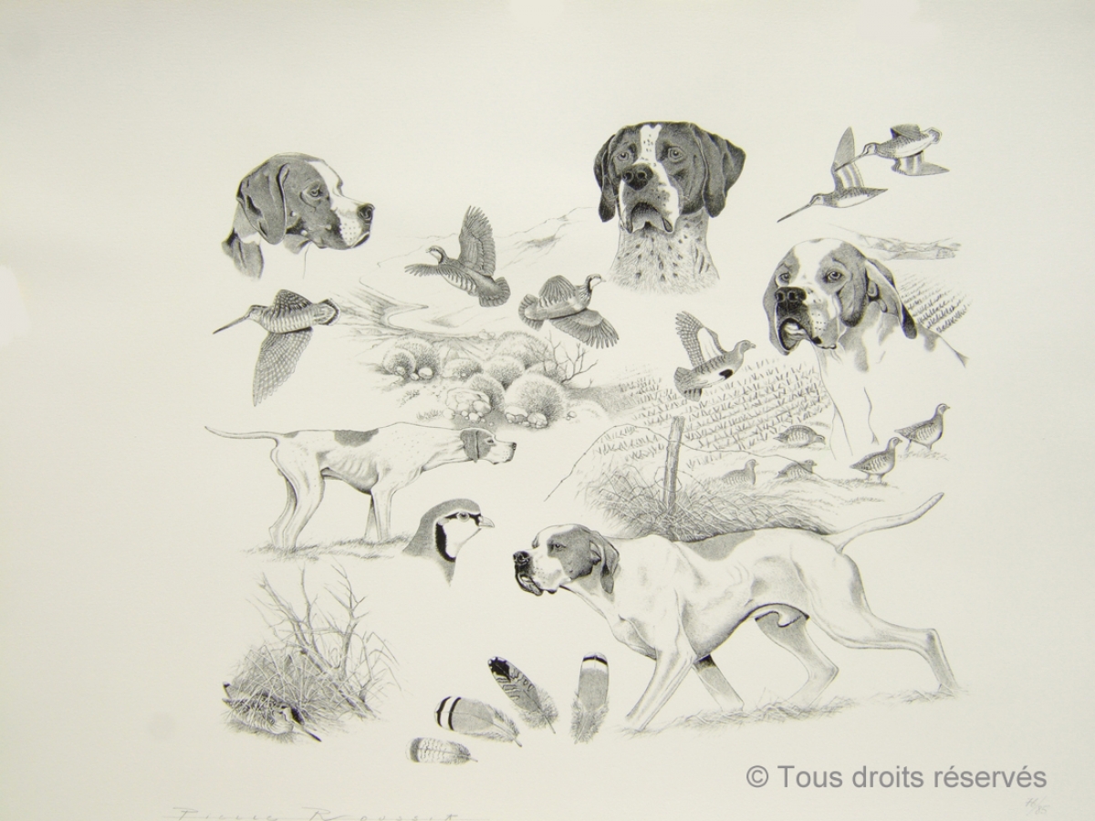 Pointer : Lithographies Chiens